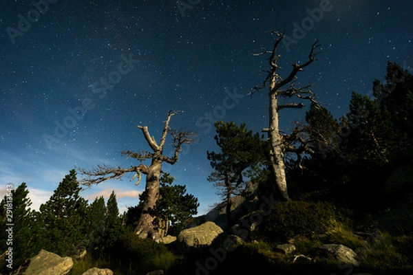 Obraz Night Landscape Aiguestortes