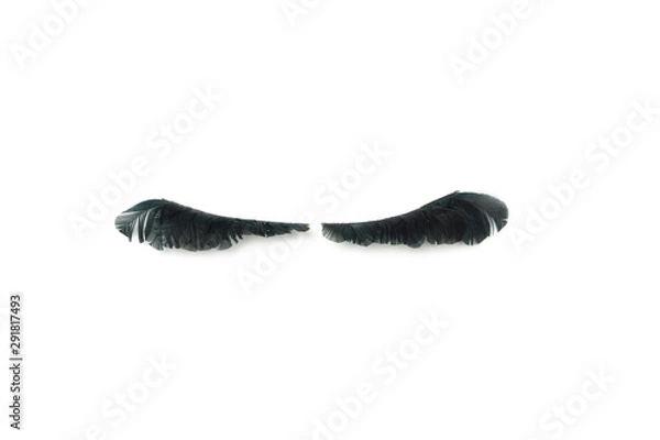 Obraz makeup false eye lashes on white background 