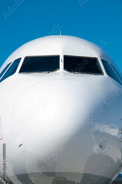 Fototapeta Airbus A321-231(WL) passenger plane close up view