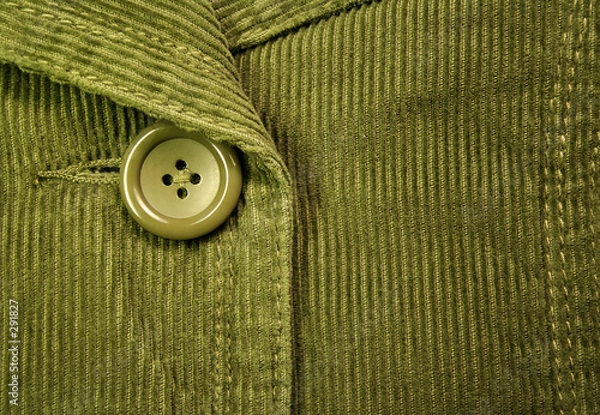 Obraz green corduroy