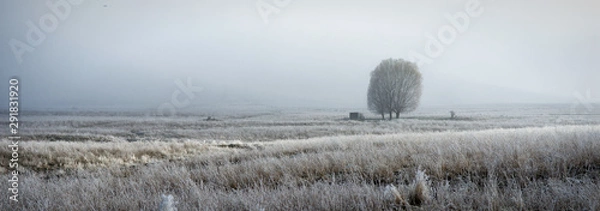Obraz winter landscape with trees and snow