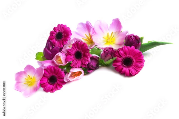 Obraz Frühlingsblumen