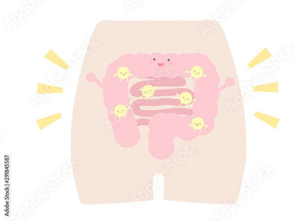 Obraz 健康な腸内環境