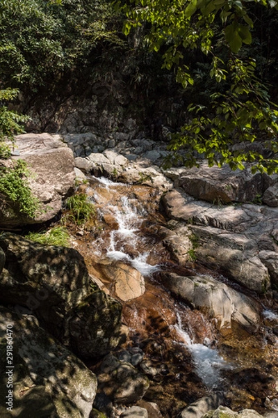 Fototapeta water flow down the cascading rocky creek on a sunny day surrounded by green plants