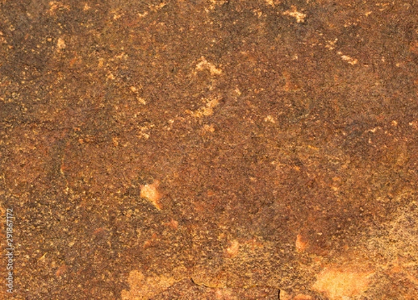 Obraz rock skin , stone texture , boulder surface