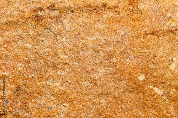 Obraz rock skin , stone texture , boulder surface