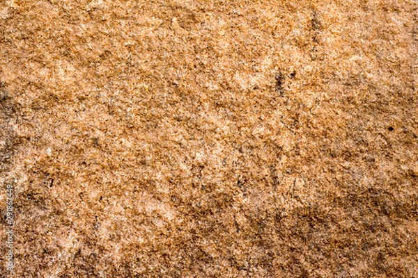 Obraz rock skin , stone texture , boulder surface