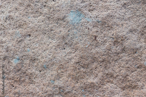 Obraz rock skin , stone texture , boulder surface