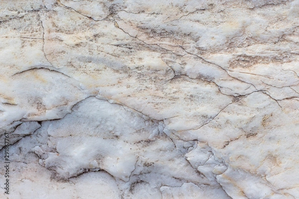 Obraz rock skin , stone texture , boulder surface