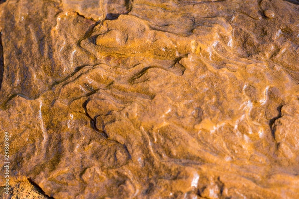 Obraz stone texture , rock surface , boulder skin