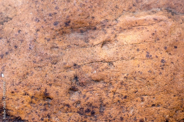 Obraz stone texture , rock surface , boulder skin