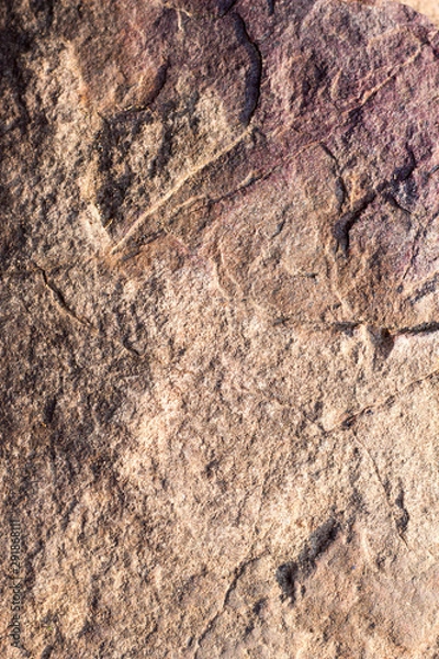 Obraz stone texture , rock surface , boulder skin