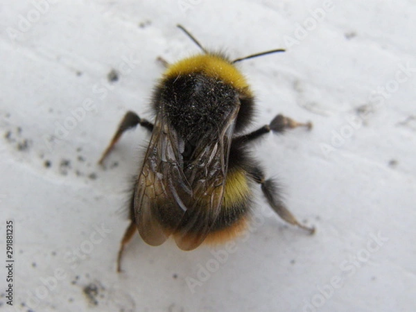 Fototapeta OLYMPUS DIGITAL CAMERA