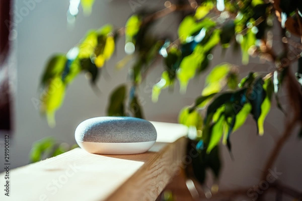 Fototapeta Smart ai speaker. Smart home concept 