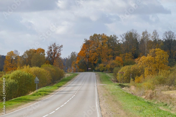 Fototapeta Autumn scene with winding asphalt road in the countryside. 