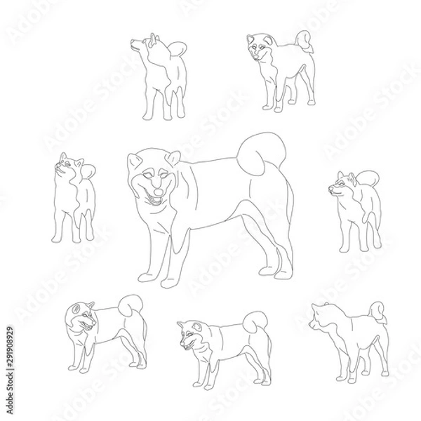 Fototapeta Set of shiba inu dogs. Isolated on white background. Flat style monochrome black and white cartoon stock vector