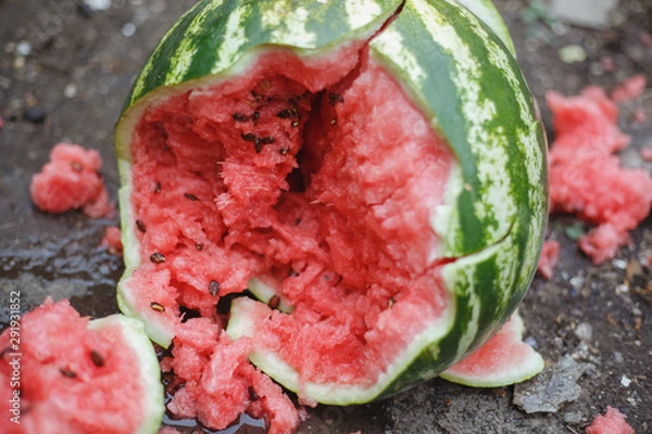 Obraz Watermelon fell on the ground, black background.