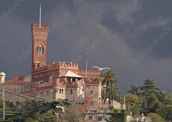 Fototapeta Castello D'Albertis con gabbiano inn volo