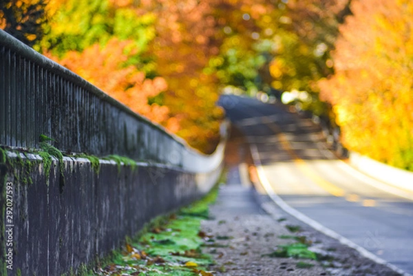 Fototapeta Autumn Scenery Of A Road And Bridge In Gree Moss With Golden Orange And Red Seasonal Foliage In The Background, Washington, United States