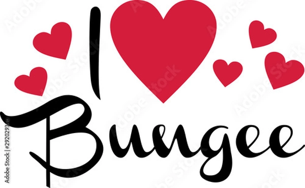 Obraz I love Bungee