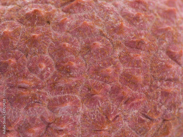 Fototapeta macro skin of lychee