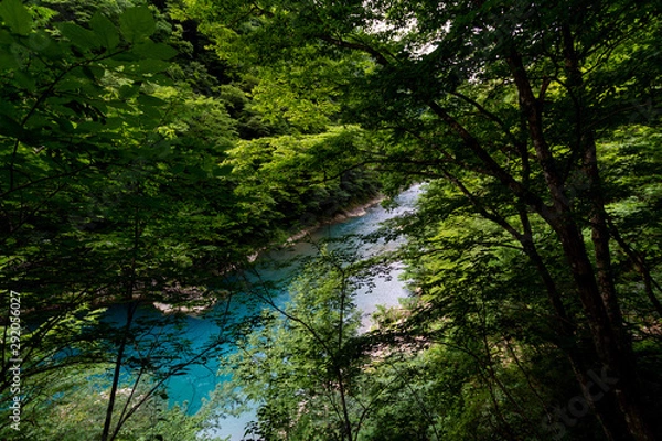 Fototapeta 抱返り渓谷