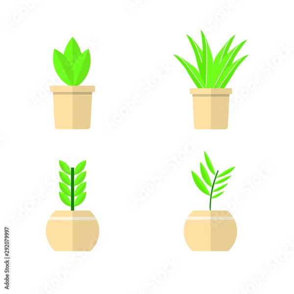 Obraz 01 Set flower in a potted plants flat style. , isolated.