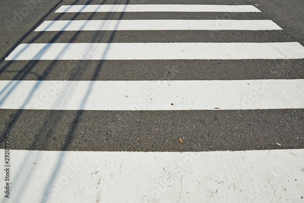 Fototapeta zebra crossing