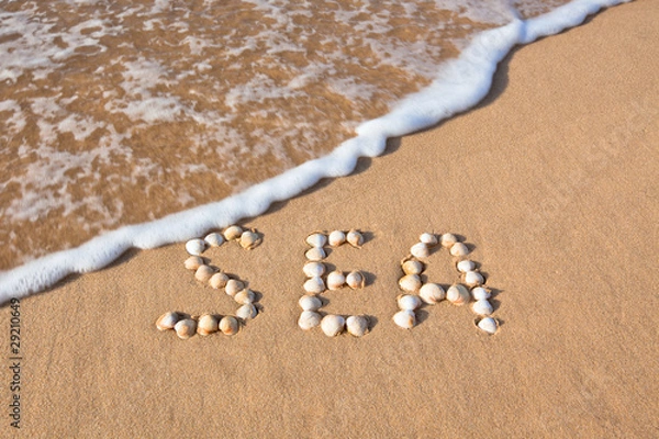 Fototapeta word "sea" shell written on beach sand