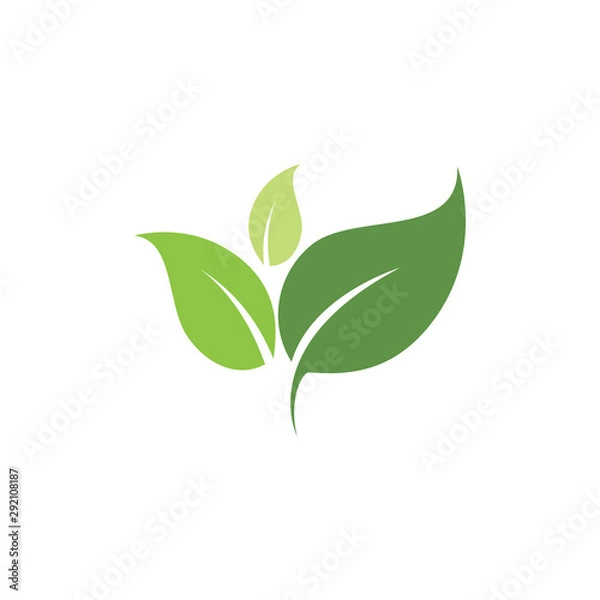 Fototapeta Logos of green Tree leaf ecology nature element