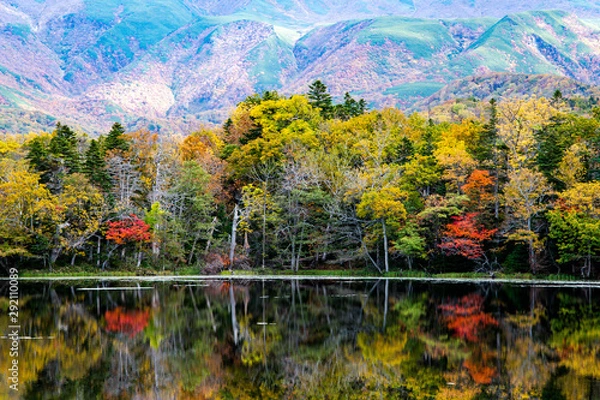 Obraz 秋の知床　知床五湖【３湖】（北海道・斜里町）