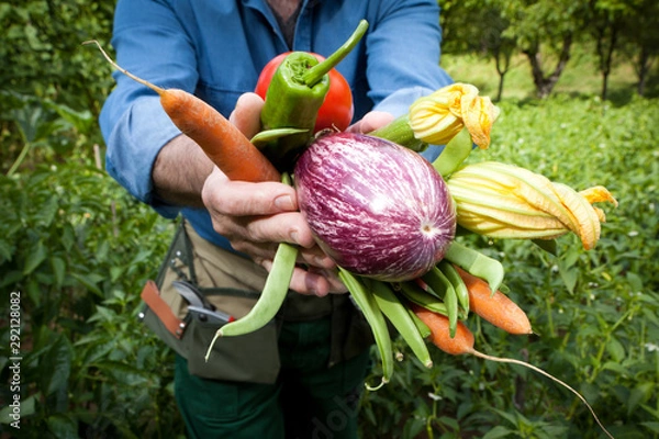 Obraz Farmer