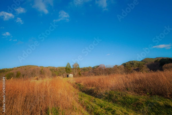 Fototapeta 晩秋の高原