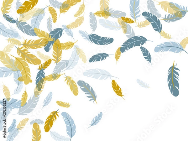 Fototapeta Detailed majestic feather on white design.
