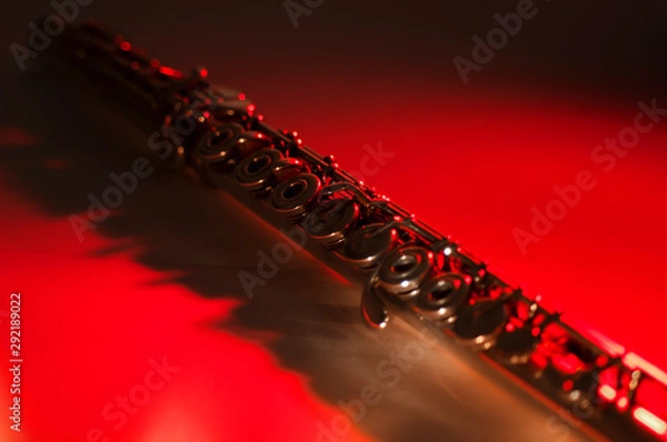 Obraz Flute studio photography colors