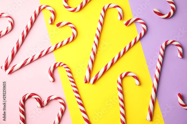 Fototapeta Flat lay composition with candy canes on color background