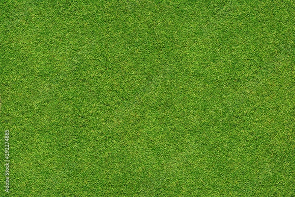 Obraz  green grass texture