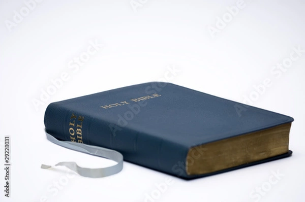 Obraz Blue Bible