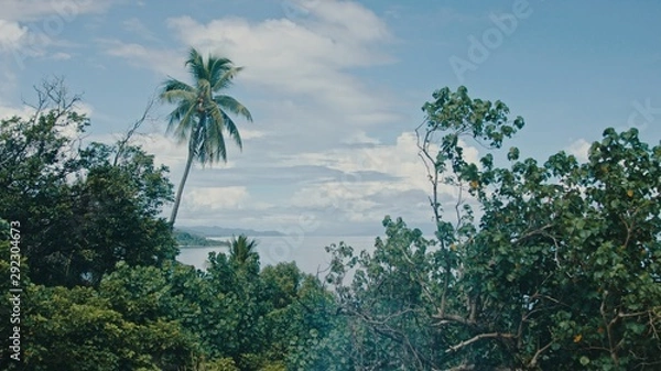 Obraz beautiful cinematic landscape of the remote and isolated southern pacific tropical island with clear sea and dense lush rainforest jungle and a small village with stunning seascape