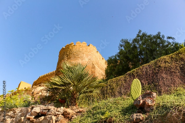 Obraz Hidden Fortress