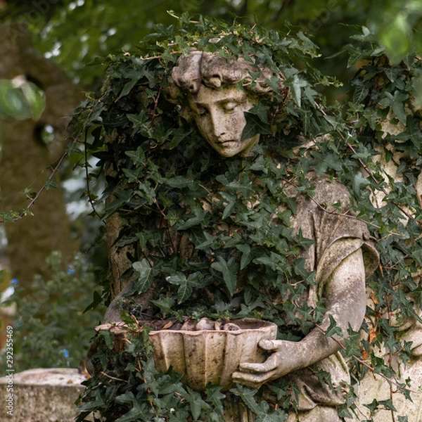 Obraz Humbled by Vines