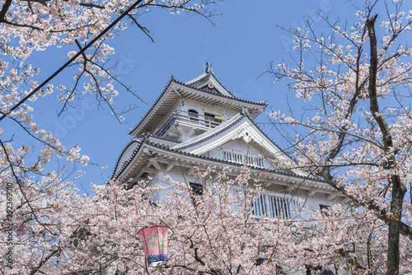 Obraz Nagahama castle with sakura blooming season