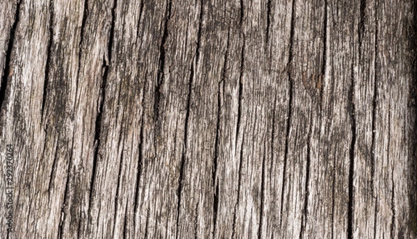 Fototapeta Macro of Wooden plank texture close up