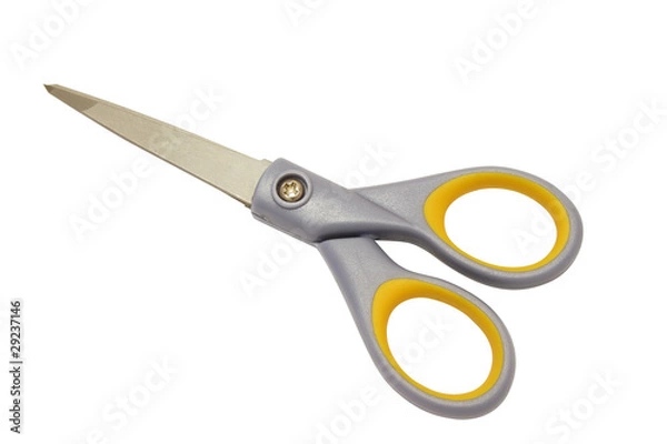 Fototapeta scissors one white