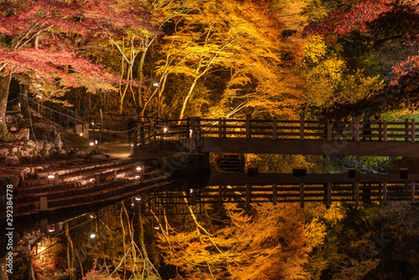 Fototapeta Autumn leaves in Iwayado Park,light up around the bridge and reflect on the river at night time in Japan.