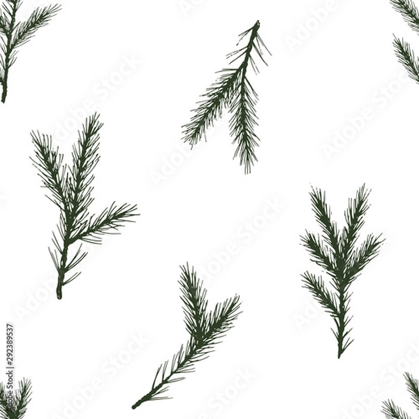 Fototapeta Vector Seamless christmas pattern with green spruce on white background