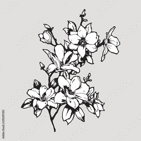 Obraz Magnolia twig