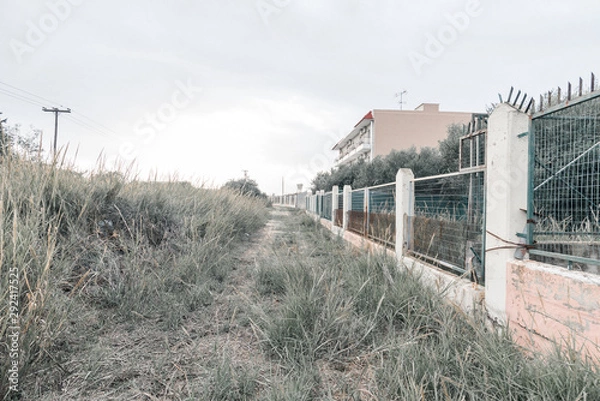 Fototapeta fence in the field