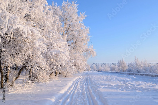 Fototapeta Winter scene. Snowy trees, ski tracks, paths and blurred bridge on a frosty sunny day. Copy space
