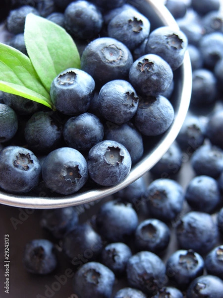 Obraz ブルーベリー